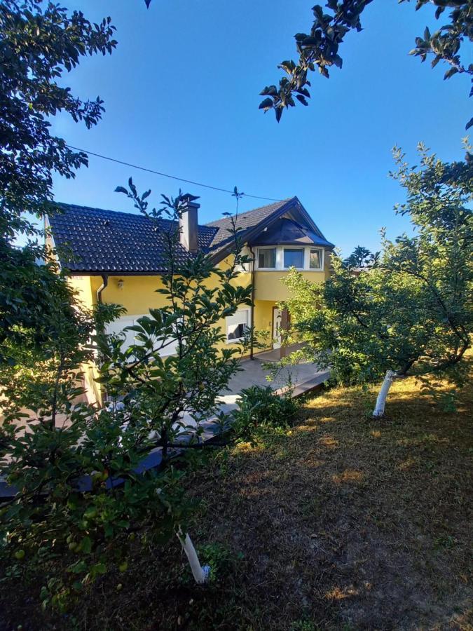 Villa Ajka *